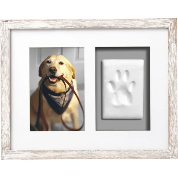 Pearhead Pet Pawprints Wall Frame Kit in Distressed White