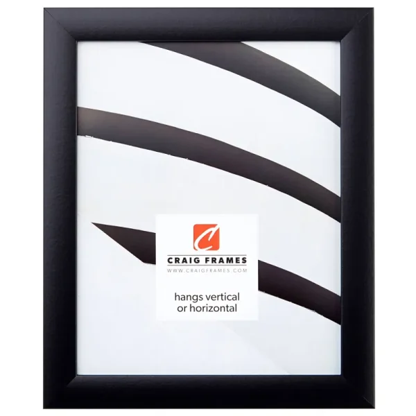 Craig Frames 1WB3BK 16 by 20 inch Picture Frame, Smooth Wrap Finish, 1 inch Wide, Black