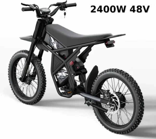 Riding'Times 2400W 48V Electric Dirt Bike for Adults Ridingtimes GT73, Brushless Hub Motor, 18.2ah*2 Electric BIKE with 25" Tires Digital Screen Carbon Steel, BLACK