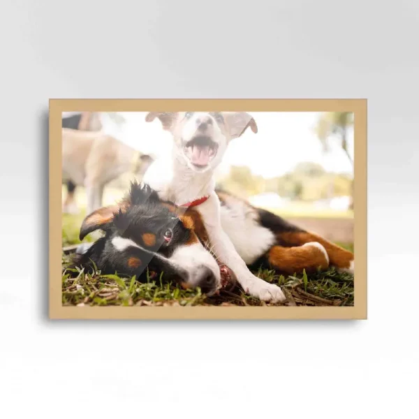 CustomPictureFrames.com 16x28 Frame Beige Real Wood Picture Frame Width 0.75 Inches | Interior Frame Depth 0.5 Inches | Natural Traditional Photo