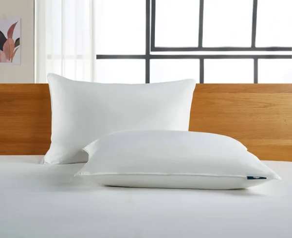 Serta White Goose Feather and Down Fiber Back Sleeper Pillow 2-Pack - Jumbo