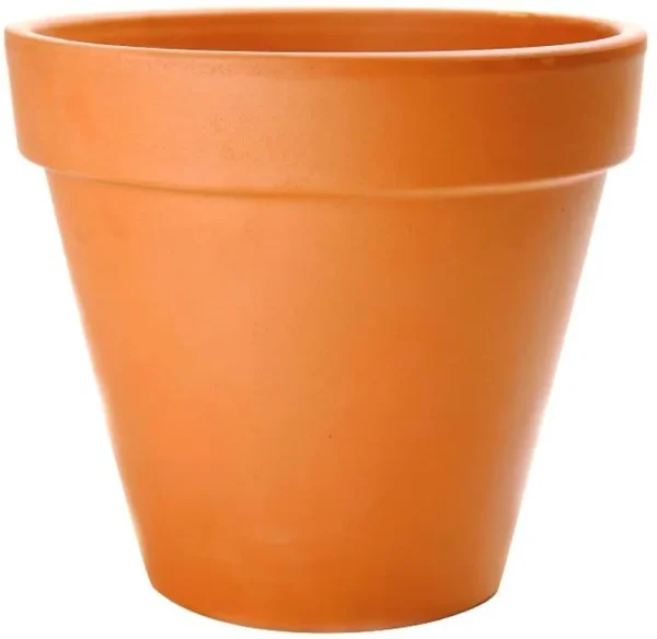 Pennington 6 in. Small Terra Cotta Clay Pot