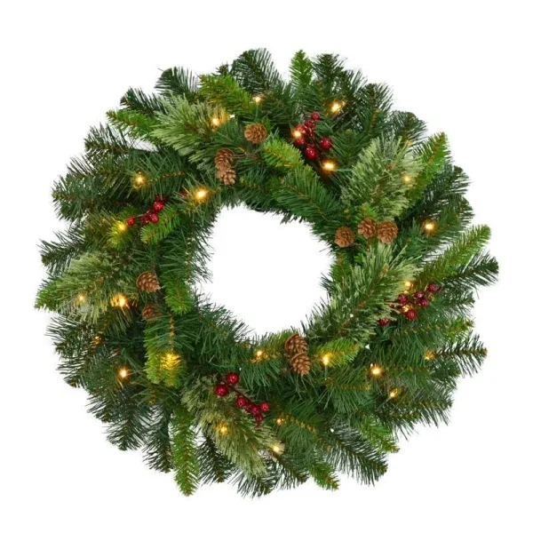 Celebrations Home 24 in. D LED Prelit Warm White Wreath