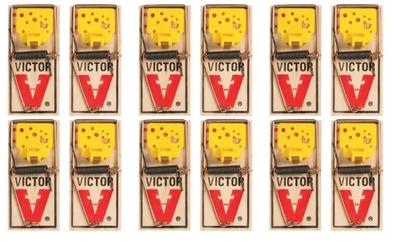 Victor EZ Set Mouse Trap (Pack of 12)
