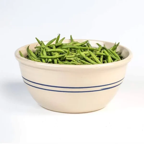 Martinez Pottery Heritage Blue Stripe Stoneware Mixing Bowl - 14"