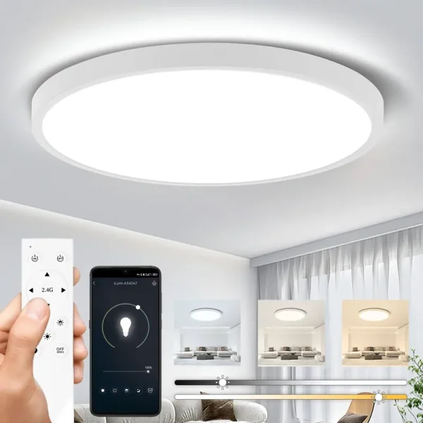 CANMEIJIA LED Ceiling Light Fixture Flush Mount with Remote Control, 24W 12in Bedroom Lights for Ceiling, 2700K-6500K CCT, Stepless Dimming, Night