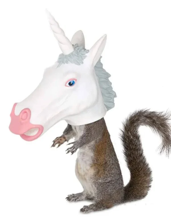 McPhee Archie, Squirrel Feeder Unicorn Head