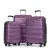Dark Purple