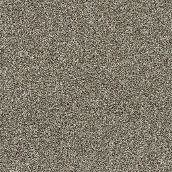 Fur Real III Bernard Tan 65-oz sq yard Solution-dyed polyester Textured Indoor Carpet