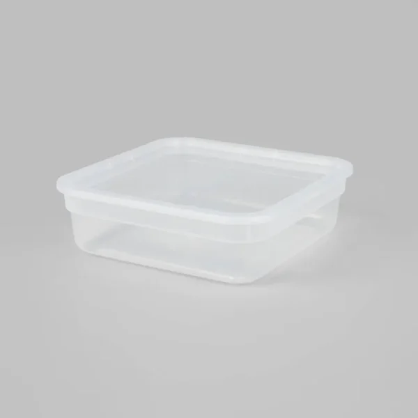 Small Modular Storage Box Clear - Brightroom