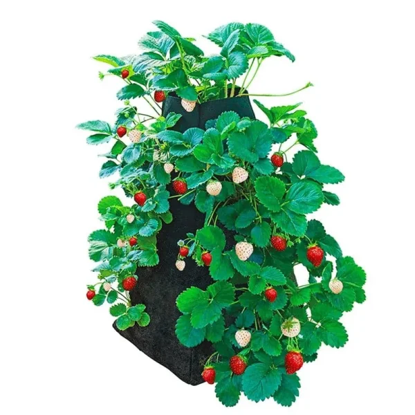 Grow Tub Strawberry Tower