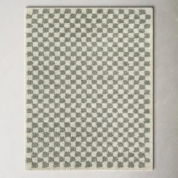 Walker Checkered Sage/Cream Shag Area Rug AllModern Rug Size: Rectangle 7'10" x 10'