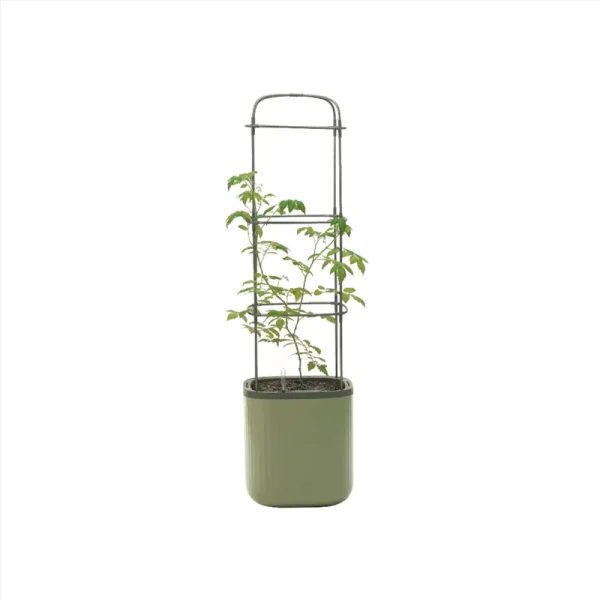 Self-Watering Rolling Tomato Planter Pot with Trellis Sage Green