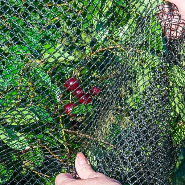 Gurney's Premium Bird Nettings - Plant Protection - 14' x 45' Net