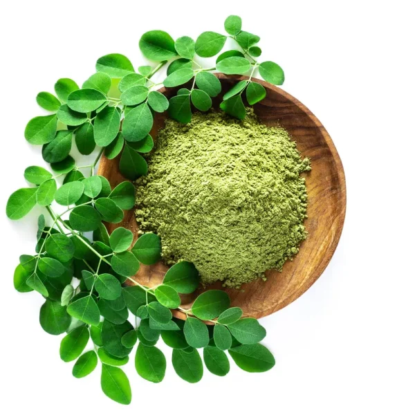 Moringa Seeds for Planting - 1 lb Bulk ~1,760+ Seeds - Grow Moringa Seeds to Eat - Moringa Plant Tree Seedlings - Moringa Oleifera