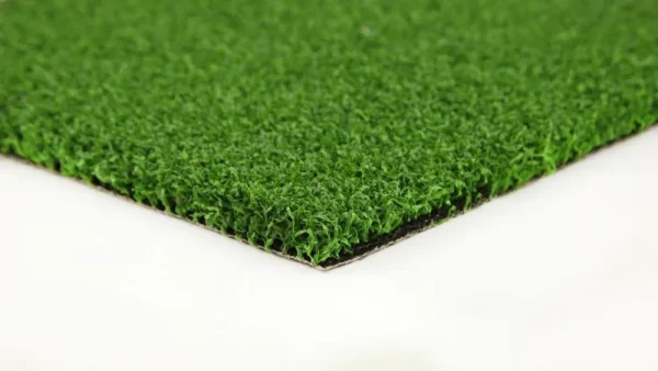Everlast Putting Green 15-ft Outdoor Artificial Grass | EVPPUTT5615CTL