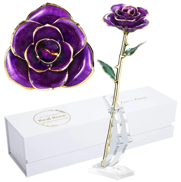 MAXSPT Anniversary Rose Gift for Wife, Forever 24K Gold Real Rose and Best for Her Rose, Purple with Stand