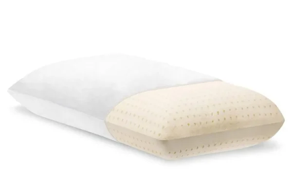 Eco Terra Natural Latex Pillow, Queen (28" x 16") / Solid