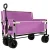 Purple Steel