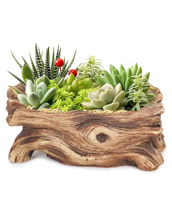 Dahlia Driftwood Stump Log Concrete Planter/Succulent Pot/Plant Pot, 7.4L x 3.9W