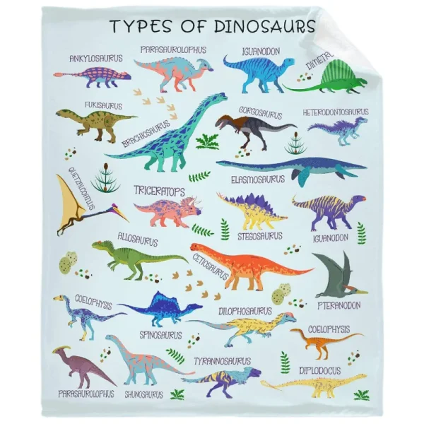 Dinosaur Blanket for Boys Types of Dinosaurs Birthday Gifts for Boys Kids Toddler Girls Teens Soft Flannel Funny Dinosaur Animal Educational Throw