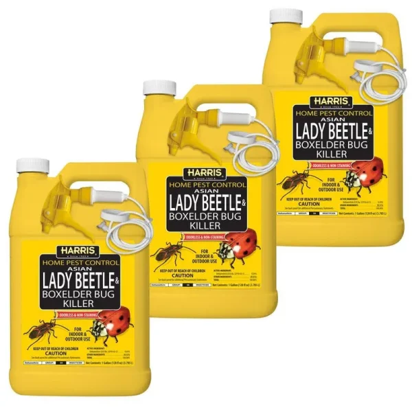 Harris 1 gal. Asian Lady Beetle and Box Elder Bug Killer (3-pack)