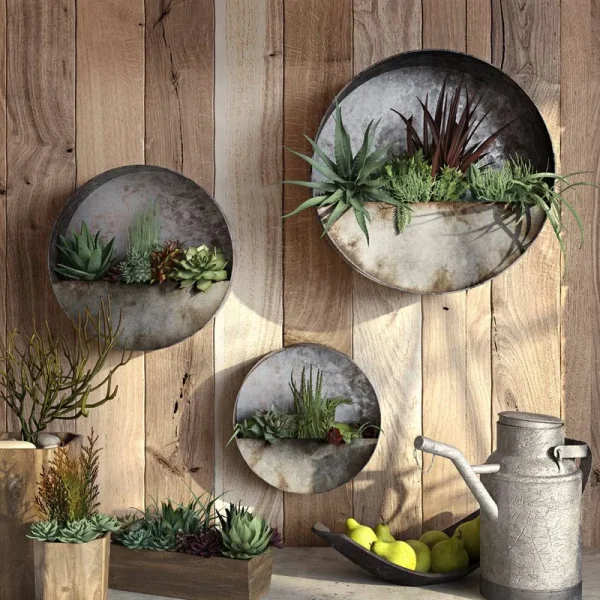 Williston Forge Addison Succulent 3-Piece Steel Wall Planter Set