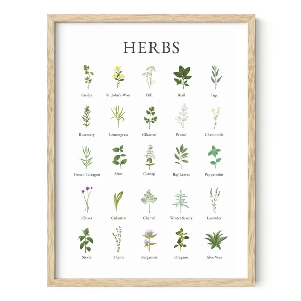 Haus and Hues Herb Pictures for Kitchen Wall Art - Kitchen Herbs Wall Art and Botanical Prints Herbs Art, Kitchen Wall Art Herbs and Kitchen Art, Cott