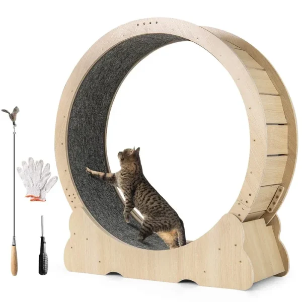 40" Large Cat Exercise Wheel for Indoor Cats, Low Noise Cat Treadmill with Lockable Mechanism, Carpeted Runway & Teasing Toy for Kitty Fitness