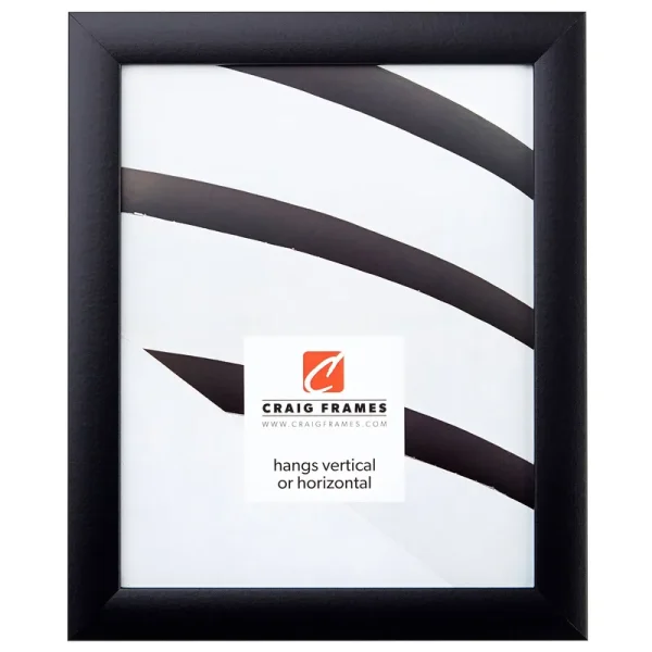 Craig Frames Contemporary Picture Frame, 14 x 20 inch, Black