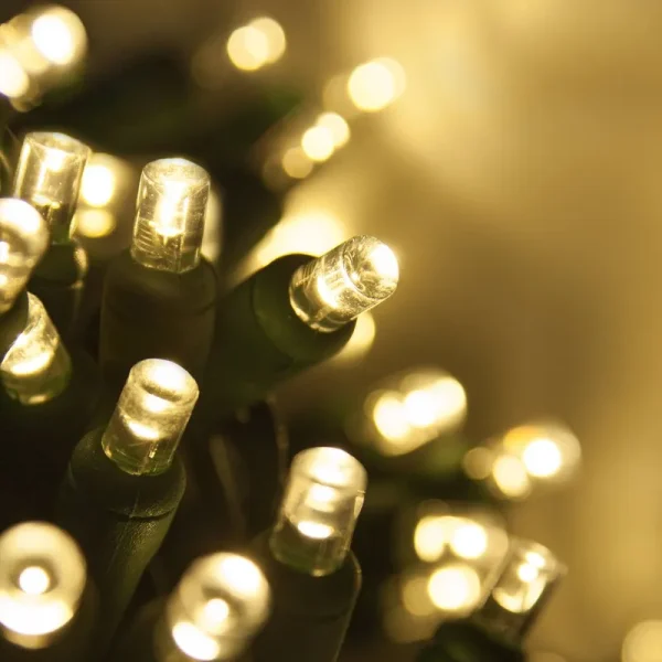 50 5mm Warm White LED Christmas Lights, Green Wire, 6" Spacing