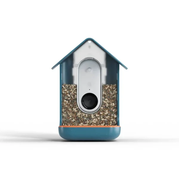 Bird Buddy Outdoor 9" Blue Bird Feeder Kit | Target