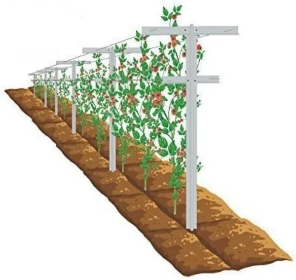 Mrgarden 7-Feet Adjustable Garden Trellis Set for Raspberry and Climbing Plants, Outdoor Stake Vineyard Trellis, Pack of 2