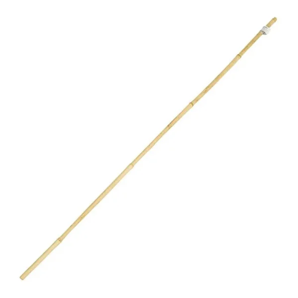 Gardener's Blue Ribbon 6-ft Bamboo Stake 6-Pack Natural | BB6N