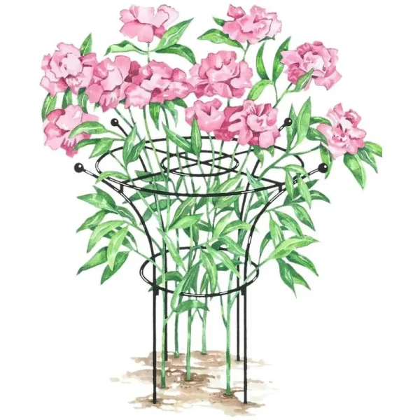 Essex Plant Support Large - Gardener's Supply Company