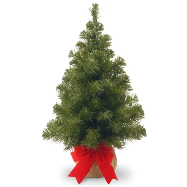 National Tree Noble Spruce Tree 2'