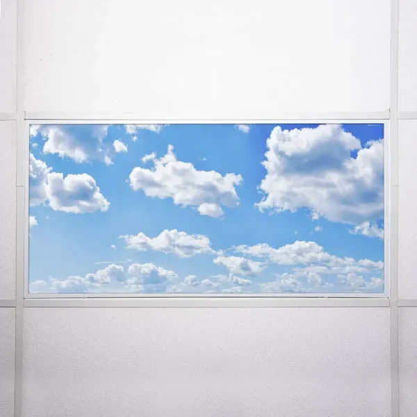Octo Lights - Fluorescent Light Covers - Cloud 001