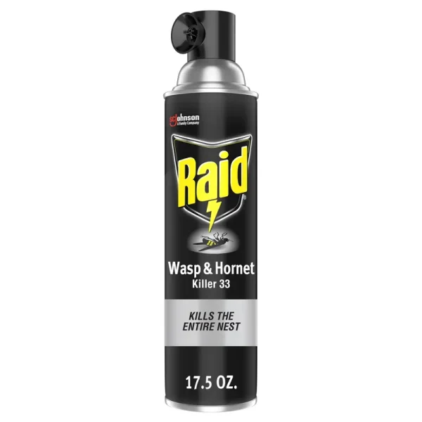 Raid 33 Defend Wasp & Hornet Insect Killer - 17.5 oz