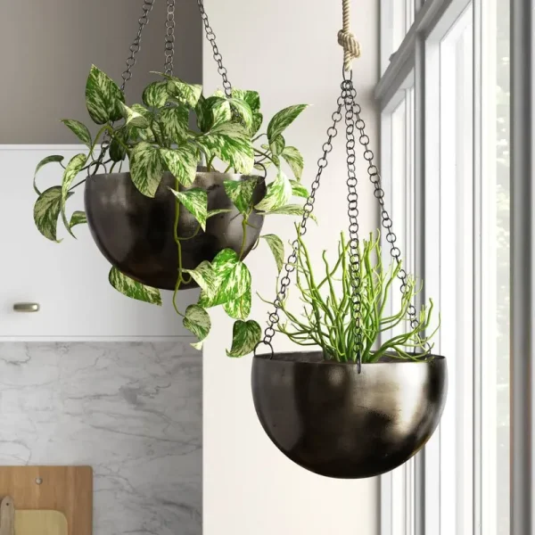 Benally Iron Hanging Planter Set Mistana Color: Black