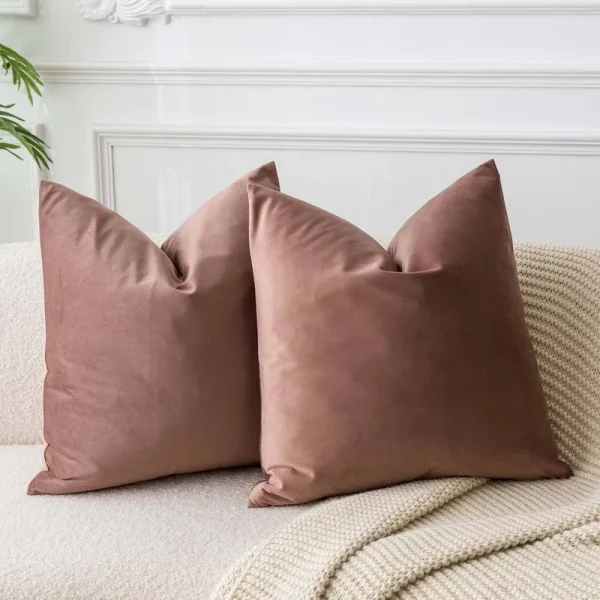 JUSPURBET Jam 20x20 Velvet Throw Pillow Covers Set of 2,Decorative Solid Soft Cushion Cases for Couch Sofa Bed