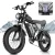 20''-1200W 48V 20AH-32MPH