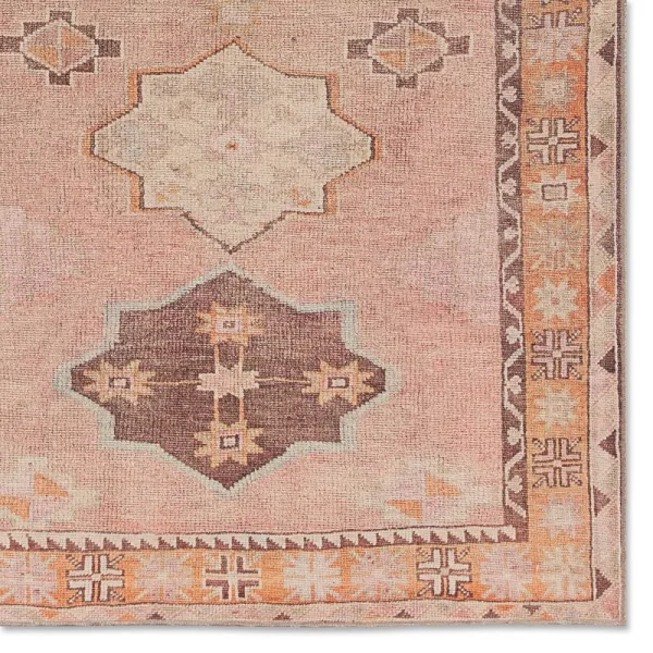Debary Machine Washable Performance Orange/Pink/Brown Rug Birch Lane Rug Size: Rectangle 4' x 6'