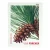 100 Stamps 5 Books