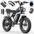 QQ20-20inch-1500W-48V 20AH