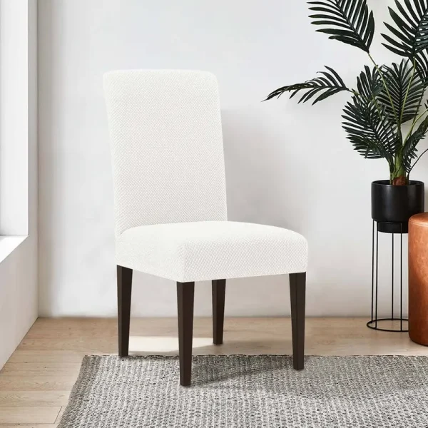 Stretch Raised Dots Box Cushion Dining Chair Slipcover Winston Porter Color: Ivory
