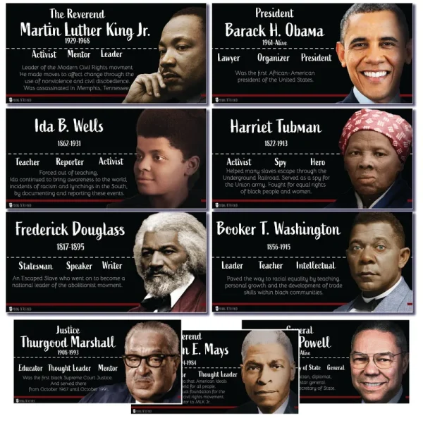 Black Heroes Poster Bulletin Board Set, 9 Charts Pack Glossy Paper (9"x19") Young N Refined