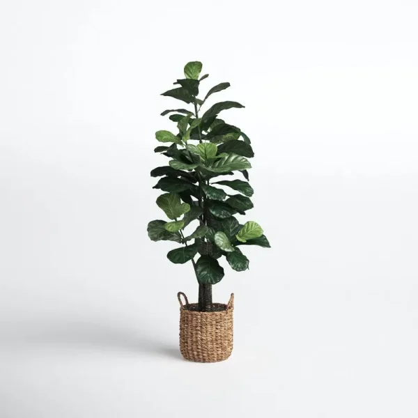 66'' Faux Fiddle Leaf Fig Tree in Rattan Basket