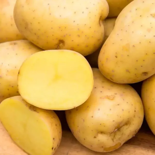 Seed Potato Yukon Gold (2 lb. Package)