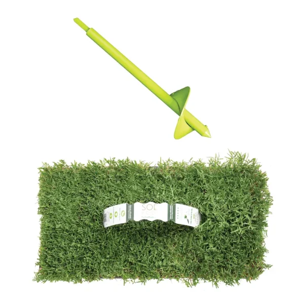 Bermuda Sod/Grass Plugs 16-Count/SP Power Planter Bundle - Natural, AF