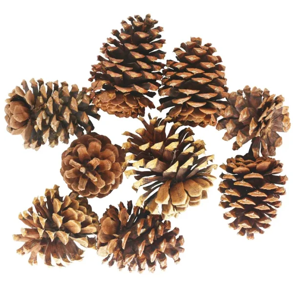 Cinnamon Scented Pinecones by Ashland | Michaels